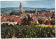 Arbois - Vue Générale Et Le Vignoble Jurassien - (Jura) - Arbois