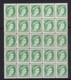 Canada 1954 Queen Elizabeth 2c Block Of 25 MNH - Unused Stamps