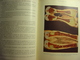 Delcampe - TRAITE DE PATHOLOGIE ET DE THERAPEUTIQUE - SYPHILIS TOME 2 - A. MALOINE & FILS 1921 - FERNET FOURNIER SERGENT - Medecine - 1901-1940