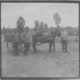 PHOTO SOLDATS ALLEMANDS AVEC ATTELAGE ET ANE - Guerre, Militaire