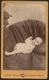 Old Photo (10,5cmx6,3cm) Old Photographia Of Baby - Carneiro & Tavares Photo - Brasil Rio Janeiro - Fotografia Bebe - Anciennes (Av. 1900)