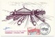 FRANCE => Carte Postale + 1,80F Marseille - Inauguration De La Gare St Charles - 1983 Signée BRUNA Dessinateur Carte - Trenes