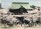 Kamakura - Kenchoji Temple  - Spring Blossom - (Nippon/Japan) - Tokyo