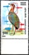 BIRDS-JERDON'S COURSER-ERROR-COLOR SHIFT- INDIA-1988 - SCARCE- MNH- B9-892 - Grues Et Gruiformes