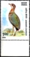 BIRDS-JERDON'S COURSER-ERROR-COLOR SHIFT- INDIA-1988 - SCARCE- MNH- B9-892 - Grues Et Gruiformes