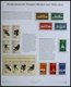 SPORT **,BrfStk,Brief , Olympische Spiele 1948-2004 Im Spezialalbum Der Deutschen Post Mit Einigen Werten Und Viel Illus - 1990 – Italie