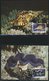 SONSTIGE MOTIVE **,Brief,BrfStk , World Wildlife Fund Aus 1983-89 Mit über 80 Kapiteln In 7 Spezialalben, Jeweils Postfr - Philately And Postal History