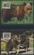 SONSTIGE MOTIVE **,Brief,BrfStk , World Wildlife Fund Aus 1983-89 Mit über 80 Kapiteln In 7 Spezialalben, Jeweils Postfr - Philately And Postal History