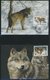 Delcampe - SONSTIGE MOTIVE **,Brief,BrfStk , World Wildlife Fund Aus 1983-89 Mit über 80 Kapiteln In 7 Spezialalben, Jeweils Postfr - Philately And Postal History