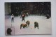 Soviet Circus. Bear Playing HOCKEY - USSR Postcard  - 1960s - Rare! - Winter Sports