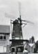 MEGEN Galerijmolen 1966  Molen / Mill / Mühle / Moulin - Autres & Non Classés