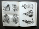 Delcampe - Le Magasin Utile Paris 1853 52 Numeri Annata Completa Illustrato Tavole - Zonder Classificatie