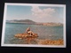 Delcampe - 100 PHOTOS COULEURS RECTANGULAIRES À BORDS BLANCS DONT 90 PHOTOS DE VACANCES COUPLE PLAYA ARO IBIGSA (IBIZA?) - Anonyme Personen