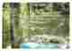 27 - Giverny - La Maison Et Le Jardin De Claude Monet - Le Jardin D'eau : L'étang Ombragé Par Les Saules - Nénuphars - V - Autres & Non Classés