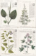 CPA / LOT DE 16 CPA / LES PLANTES UTILES - Sonstige & Ohne Zuordnung