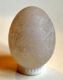 24 -  UOVO IN PIETRA NATURALE LEVIGATA E LUCIDATA - ALABASTRO - Eggs
