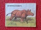 SPAIN ANTIGUO CROMO RARE OLD COLLECTIBLE CARD RINOCERONTE RHINO RHINOCEROS RHINOS RHINOCEROSES CREO AÑOS 1960 1970 APROX - Otros & Sin Clasificación