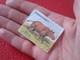 SPAIN ANTIGUO CROMO RARE OLD COLLECTIBLE CARD RINOCERONTE RHINO RHINOCEROS RHINOS RHINOCEROSES CREO AÑOS 1960 1970 APROX - Otros & Sin Clasificación