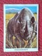 SPAIN ANTIGUO CROMO RARE OLD COLLECTIBLE CARD RINOCERONTE RHINO RHINOCEROS RHINOS RHINOCEROSES 1972 ANIMALES EN EL ZOO - Otros & Sin Clasificación