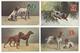 8 CARTES CHIEN DOG CHASSE HUNT /FREE SHIPPING R - Dogs