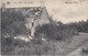 COQ-SUR-MER - 1913 - Au Village - Gardeuse D'Oies - Coq S/Mer - De Haan - De Haan