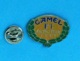 1 PIN'S //  ** CAMEL F1 / RACINGTEAM / 1993 ** - F1