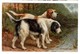 Chien / Dog -Otter Hounds - Tuck's Oilette 9381 - Illustr. N. Drummond Artist Signed - 2 Scans - Cani