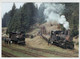 SLOVAKIA     TRAIN --ZUG--TRENI--BAHNHOF--GARE--STATION--STAZIONE    2  SCAN  (NUOVA) - Treni