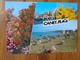 Meilleurs Souvenirs De Canet En Roussillon. Canet Plage. ABL 16/93044 Postmarked 2001. - Canet En Roussillon