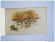 Dubbele Kaart Carte Double Anjers Oeillets Cerf Hert Mignonette Format 11 X 7 Cm Imprimé France M.D. Paris - New Year