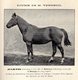 BULLETIN SOCIETE AGRICULTURE DES SCIENCES ET ARTS     HAUTE VIENNE  1887 1898   LIMOGES    TOME 26 - Limousin