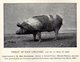 Delcampe - BULLETIN SOCIETE AGRICULTURE DES SCIENCES ET ARTS     HAUTE VIENNE  1887 1898   LIMOGES    TOME 26 - Limousin