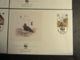 ASCENSION - 1990 - WWF - PROTEZIONE DEGLI UCCELLI - BIRDS - 4 BUSTE FDC - Ascensione