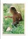 CALENDRIER 1986 - FEMME NUE - Petit Format : 1981-90