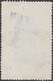 Delcampe - Congo Belge 1908 COB Taxe 1 à 6D, Superbes Et Rares - Gebraucht