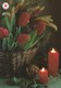 Postal Stationery - Birds - Bullfinches - Candles Lighting - Tulips - Red Cross 2005 - Suomi Finland - Postage Paid - Ganzsachen