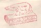 Meter Cover Netherlands 1957 Polar Bear - Flannel - Arctische Expedities