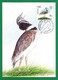 Kirgisistan 2019 , The Little Bustard / Zwergtrappe - Maximum Card 48 - First Day Kyrgyz Express Post 09.05.2019 - Kirghizistan