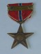 Décoration / Médaille US - La Bronze Star Medal (Médaille De L'étoile De Bronze) USA    **** EN ACHAT IMMEDIAT **** - Estados Unidos