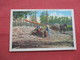 Old Fashioned Sugar Cane Mill Down South    Ref  3473 - Industrie