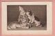 TWO OLD POSTCARDS -  CATS - ARTIST SIGNED SPERLICH - 1912 - Chats