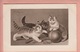 TWO OLD POSTCARDS -  CATS - ARTIST SIGNED SPERLICH - 1912 - Chats