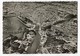 CPSM 31 ( Grand Format ) TOULOUSE Vue D' Avion - Toulouse