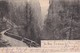 SUISSE  1903 CARTE POSTALE AVEC CACHET AMBULANT  VUE VIA MALA II BRÜCKE - Lettres & Documents