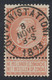 Fine Barbe - N°57 Obl Simple Cercle (concours) "Louvain (Station)" - 1893-1900 Fine Barbe