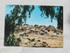 Ethiopia Charcteristic Mountain Village 1978   A 197 - Ethiopia