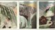 NIAGARA FALLS  SOUVENIR FOLDER 22 PICTURESQUE VIEWS IN COLOR 1915  FG - Chutes Du Niagara