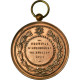 Belgique, Médaille, Léopold II, Musique, Festival D'Audregnies, 1909, TTB - Autres & Non Classés