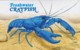 Australia 2019 Freshwater Crayfish Presentation Pack - Presentation Packs