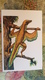 First Bird Archaeopteryx - Bird-like Dinosaur / 1969 Postcard - Autres & Non Classés